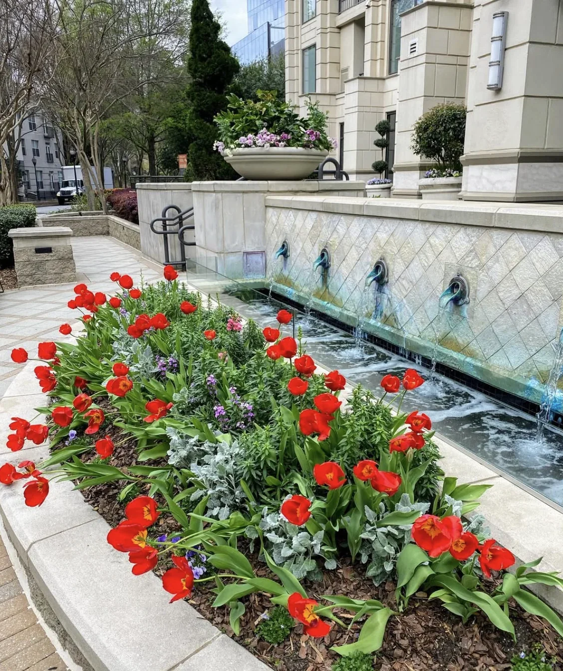 Cascading Waterfalls and Botanical Gardens